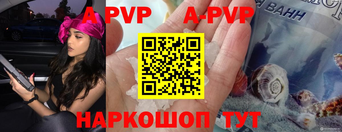 APVP СК Воркута
