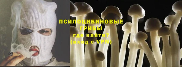 твердый Балахна