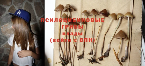 скорость Баксан