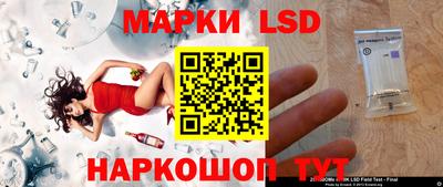 СК Абакан