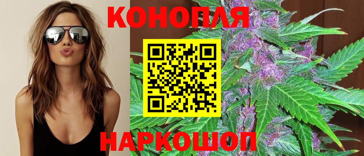 Бошки марихуана семена  Вход с VPN  Воркута  МАРИХУАНА семена  Канабис VHQ 